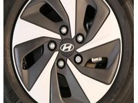 Hyundai Ioniq Wheel Locks - G2F41-AU000